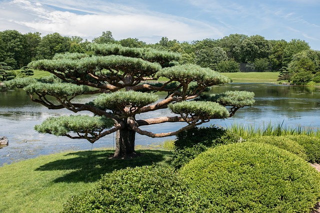 Botanické záhrady Európy